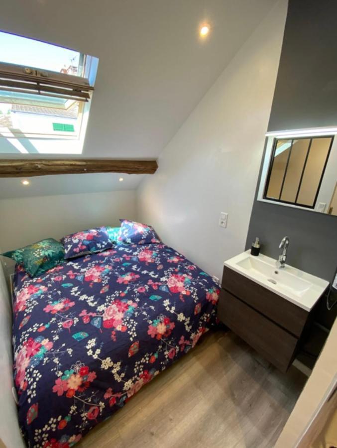 Studio La Promenade Sisley Apartment Saint-Mammes ภายนอก รูปภาพ